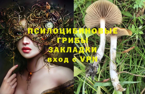 дмт Козловка