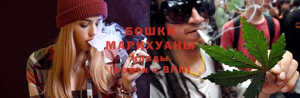 индика Козельск
