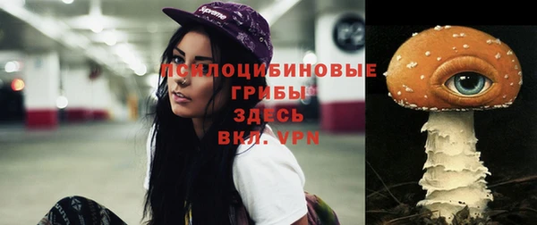 дмт Козловка