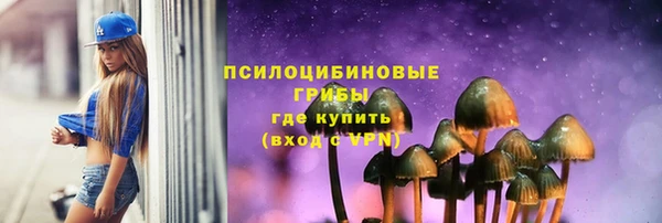 индика Козельск