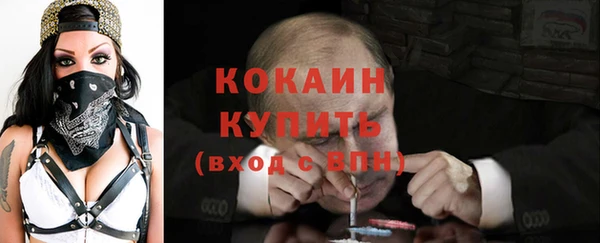 индика Козельск