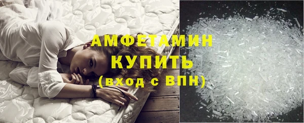 индика Козельск