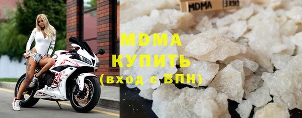 индика Козельск