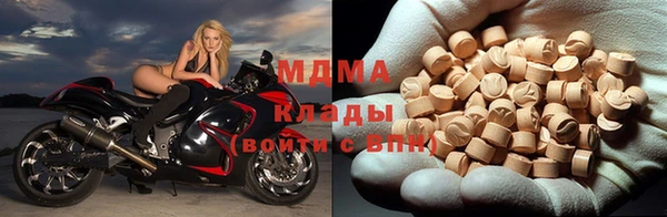 индика Козельск